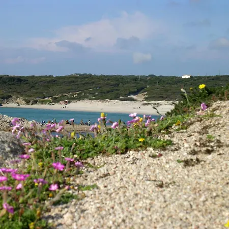Apartment Locazione Turistica Ginestra *